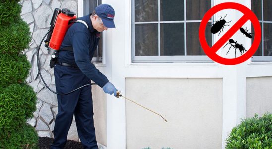 Pazarcık Akrep İlaçlama böcek ilaçlama ve haşere kontrolü — ilaclama-tr.com